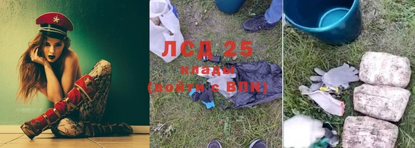 прущие грибы Арсеньев