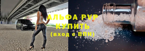 прущие грибы Арсеньев