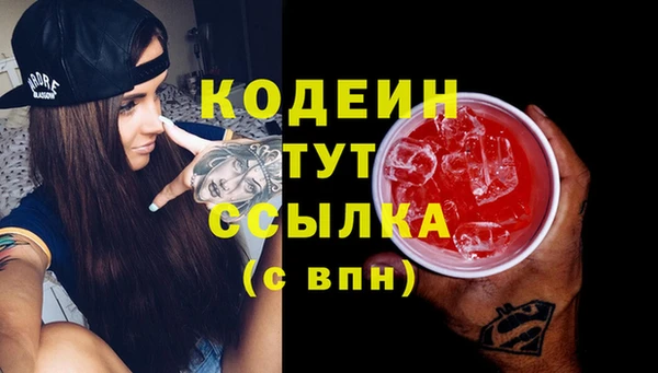 прущие грибы Арсеньев
