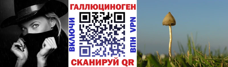 Галлюциногенные грибы MAGIC MUSHROOMS  ОМГ ОМГ онион  Катав-Ивановск 